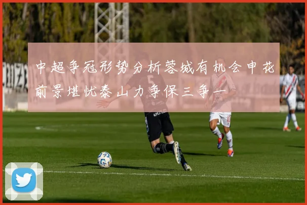 中超争冠形势分析蓉城有机会申花前景堪忧泰山力争保三争一