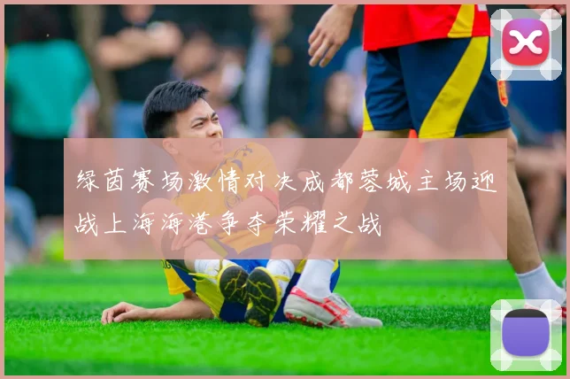 绿茵赛场激情对决成都蓉城主场迎战上海海港争夺荣耀之战